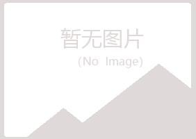 红岗区惜雪材料有限公司